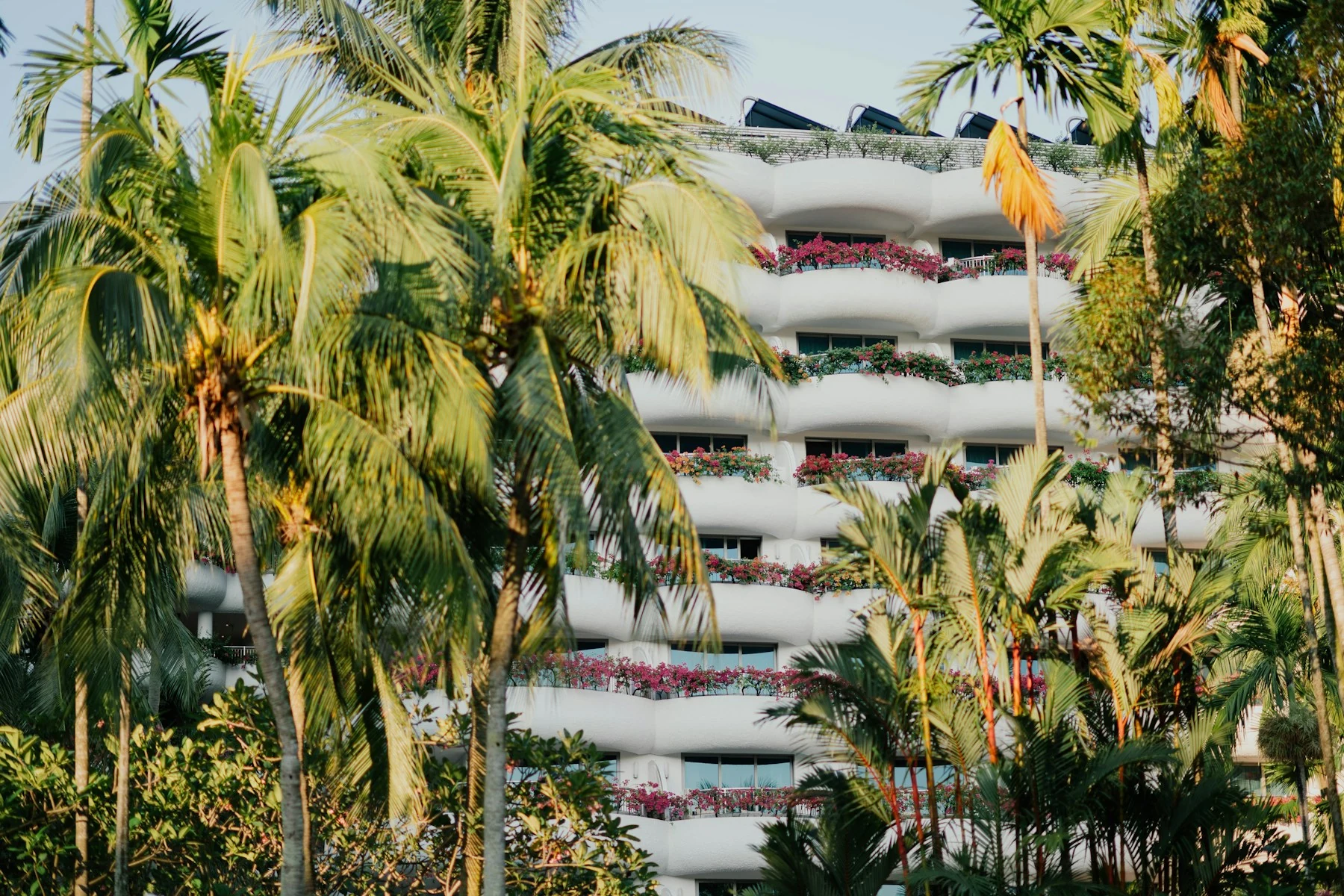 Contemporary residential buildings framed by palm trees